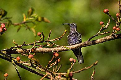 画面会有提升吗？《宣誓》已转向虚幻5.3引擎开发